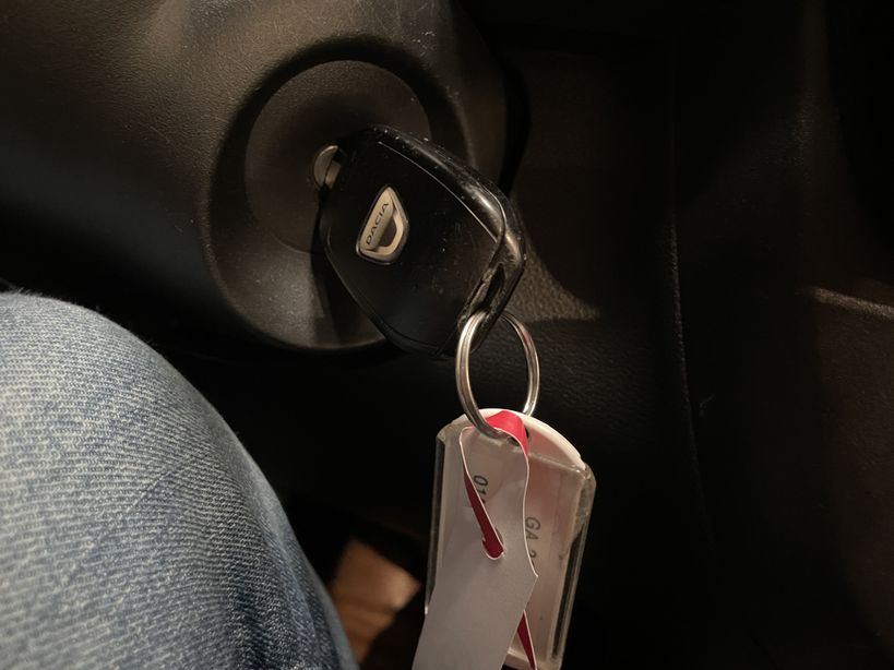 DACIA SPRING 2021 - Photo n°24