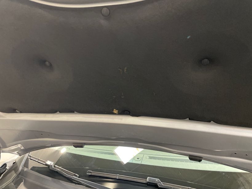 PEUGEOT 208 2023 - Photo n°19