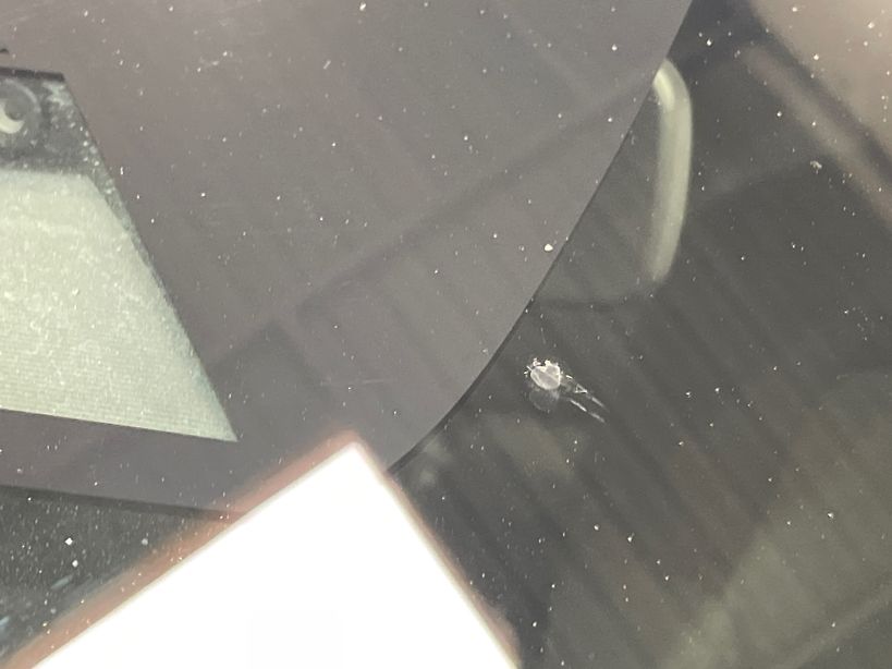 RENAULT CLIO V 2021 - Photo n°17