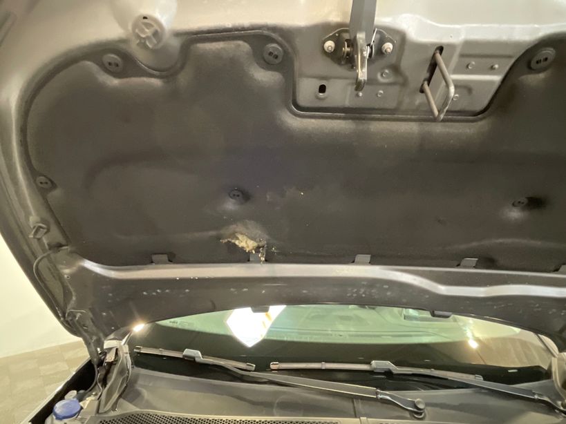 CITROEN C4 X 2023 - Photo n°17