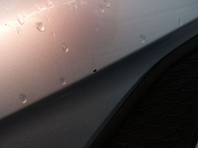 FORD FIESTA 2019 - Photo n°11