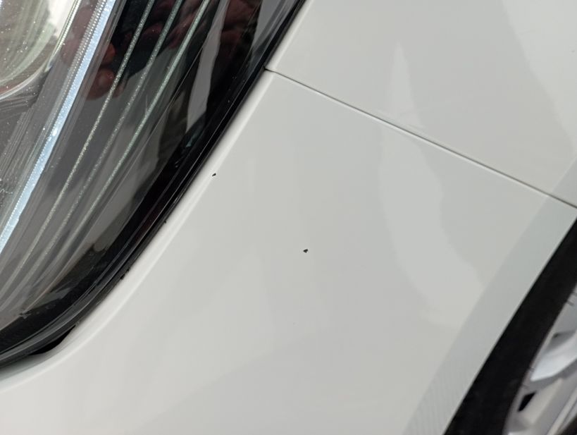 RENAULT MEGANE IV ESTATE BUSINESS 2019 - Photo n°10