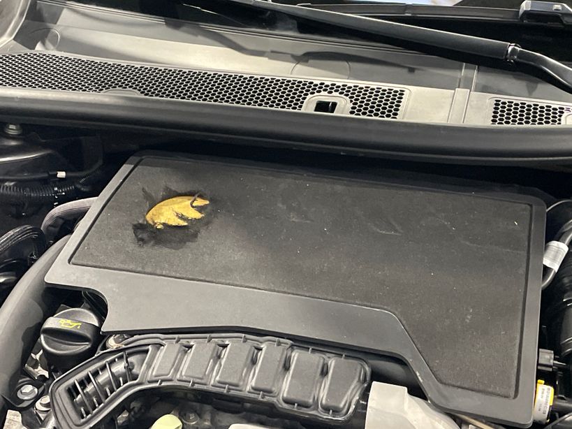 PEUGEOT 2008 2023 - Photo n°4