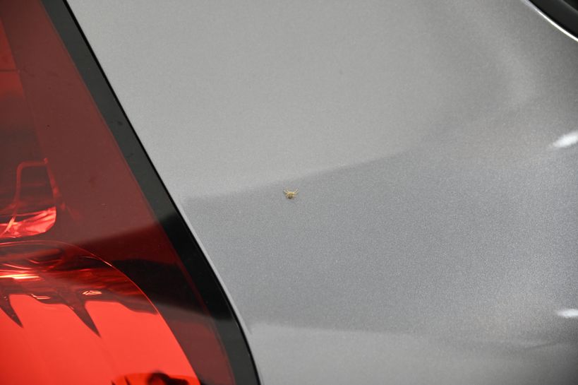 RENAULT GRAND SCENIC IV BUSINESS 2019 - Photo n°6