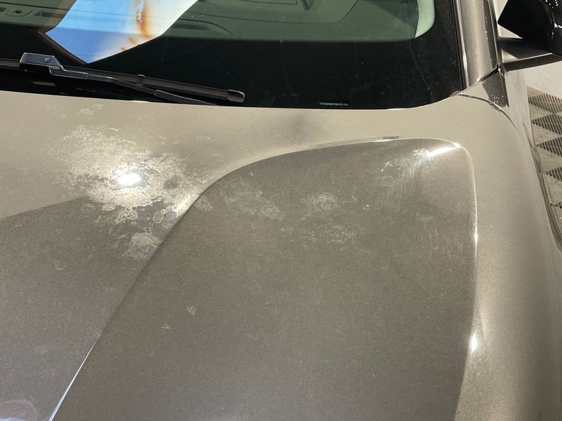 CITROEN C4 2024 - Photo n°4