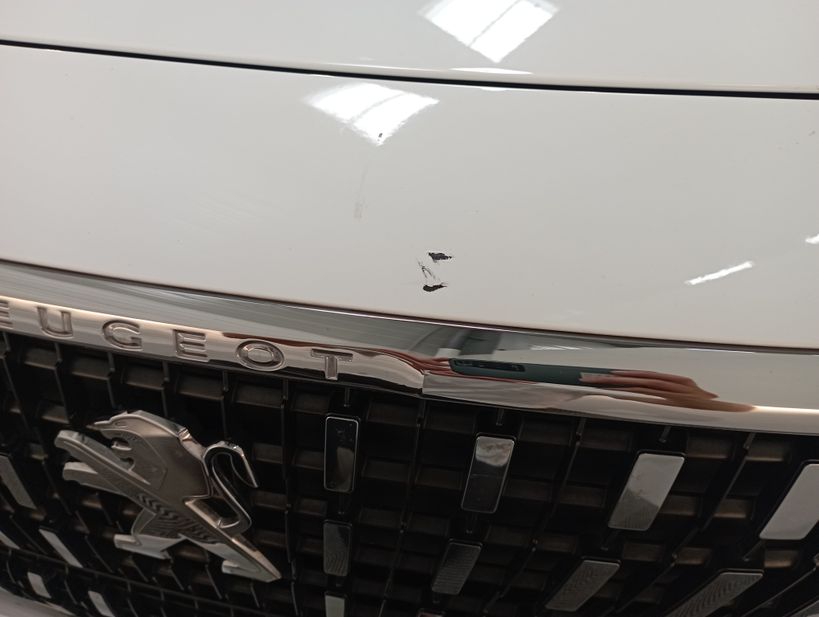 PEUGEOT 3008 BUSINESS 2019 - Photo n°20