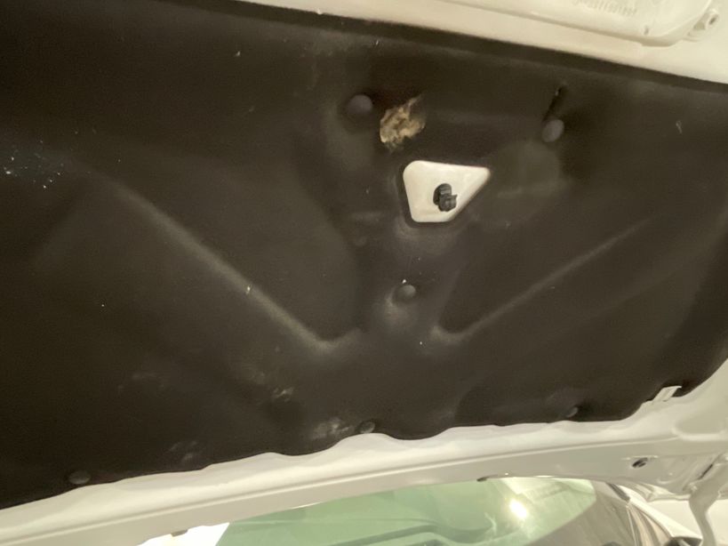 RENAULT CAPTUR 2022 - Photo n°3