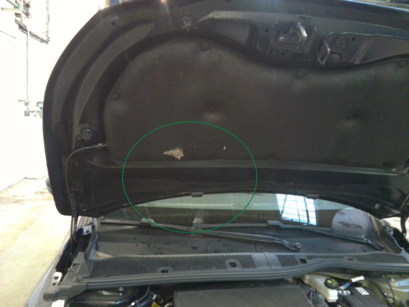 PEUGEOT 208 2024 - Photo n°1