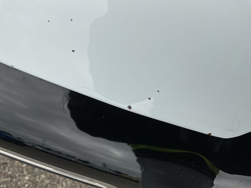 RENAULT MEGANE IV BERLINE BUSINESS 2019 - Photo n°3