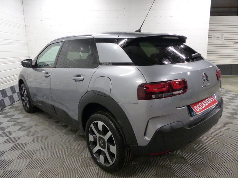 CITROEN C4 CACTUS BUSINESS 2018 - Photo n°3
