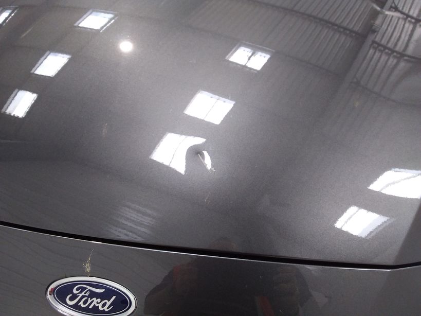 FORD FIESTA 2019 - Photo n°1