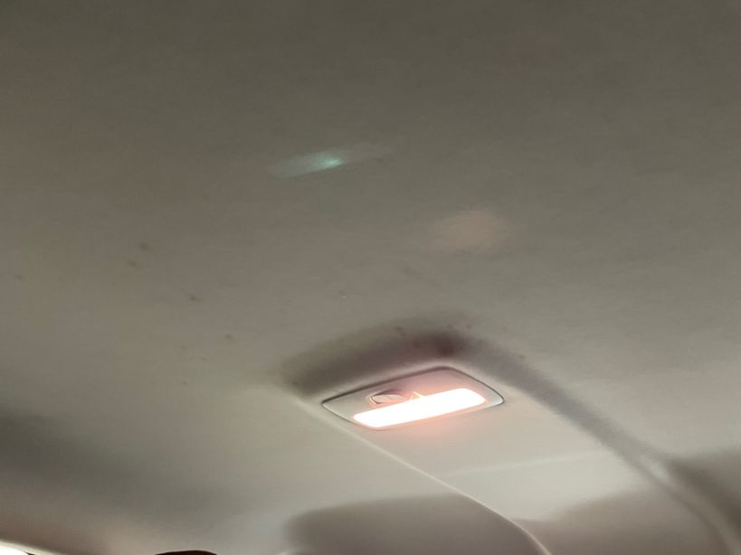 RENAULT MEGANE IV ESTATE 2022 - Photo n°15