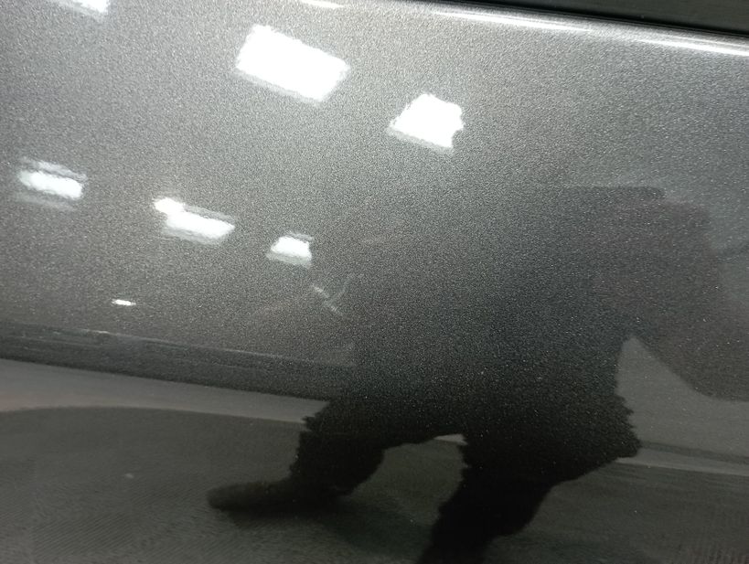 FORD KUGA 2022 - Photo n°20