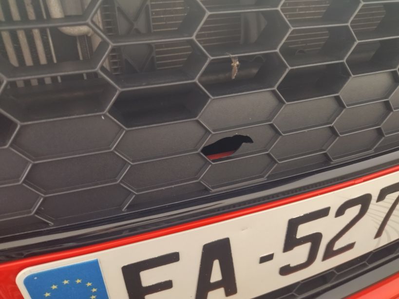 FORD FIESTA 2016 - Photo n°2