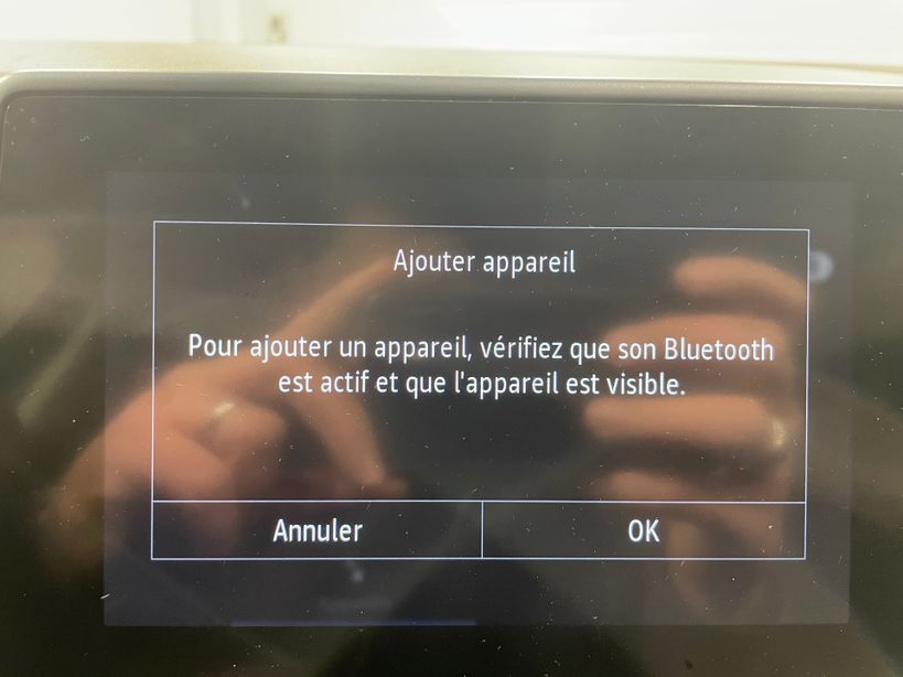 RENAULT ARKANA 2023 - Photo n°29