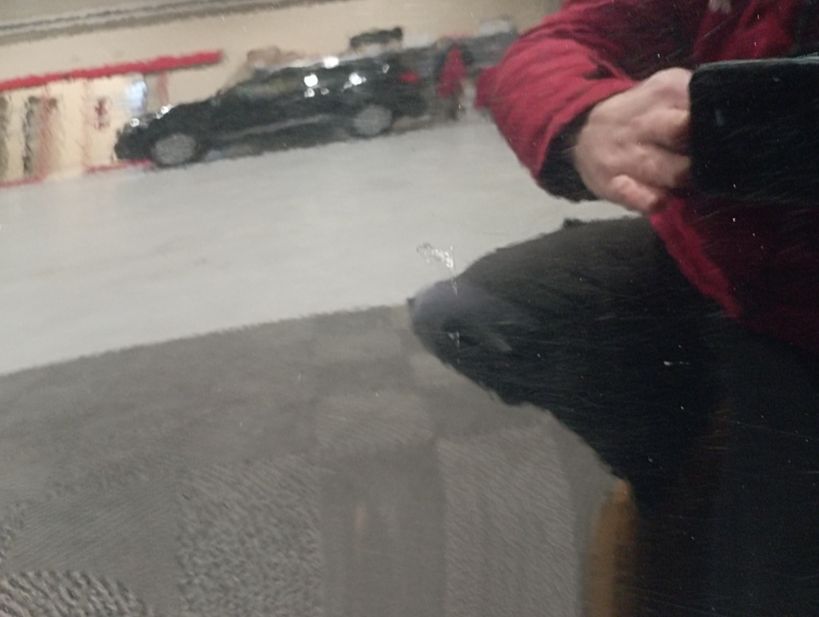 RENAULT CLIO V 2021 - Photo n°5