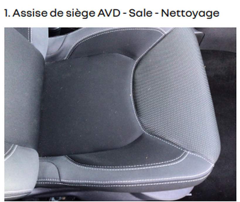 RENAULT CLIO IV SOCIETE 2019 - Photo n°2