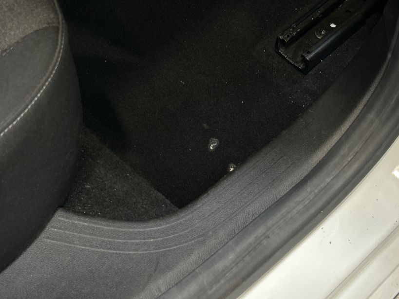 RENAULT CLIO V 2020 - Photo n°11