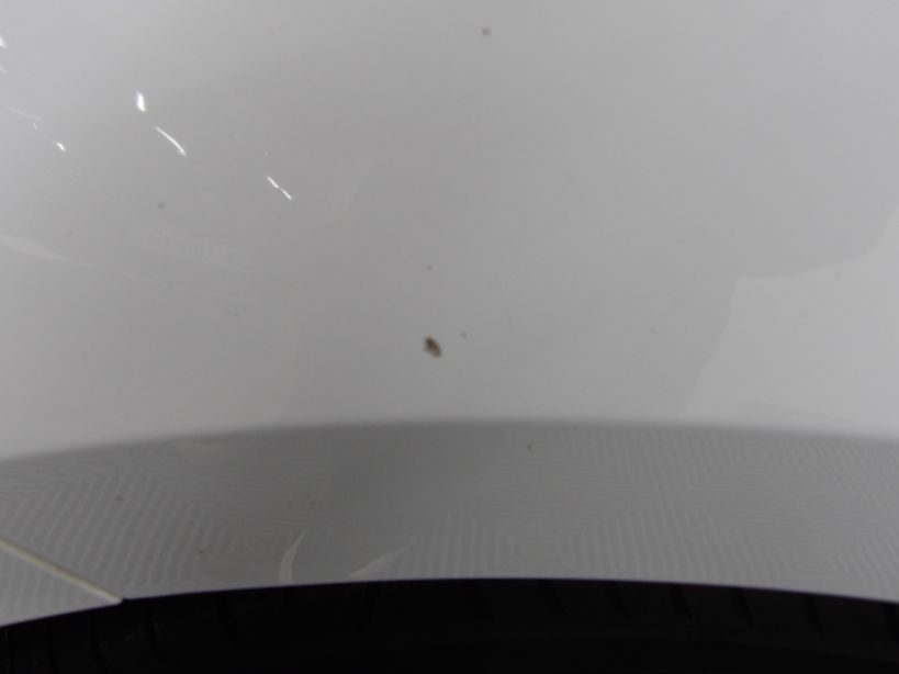 SEAT LEON 2021 - Photo n°5