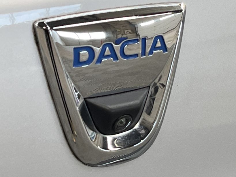 DACIA SPRING 2020 - Photo n°47