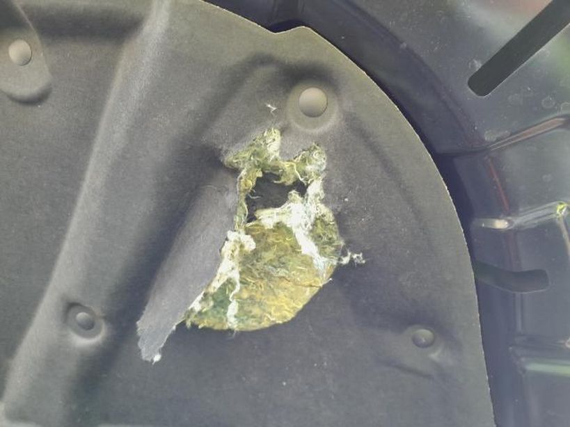 RENAULT ARKANA 2024 - Photo n°1