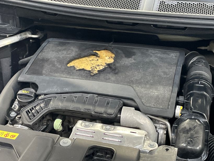 CITROEN C5 AIRCROSS 2023 - Photo n°9