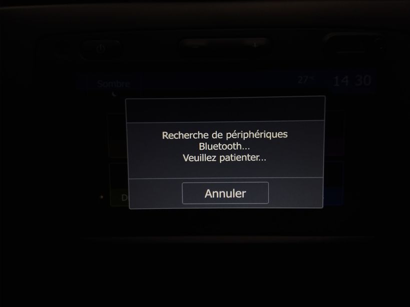 DACIA DUSTER 2021 - Photo n°18