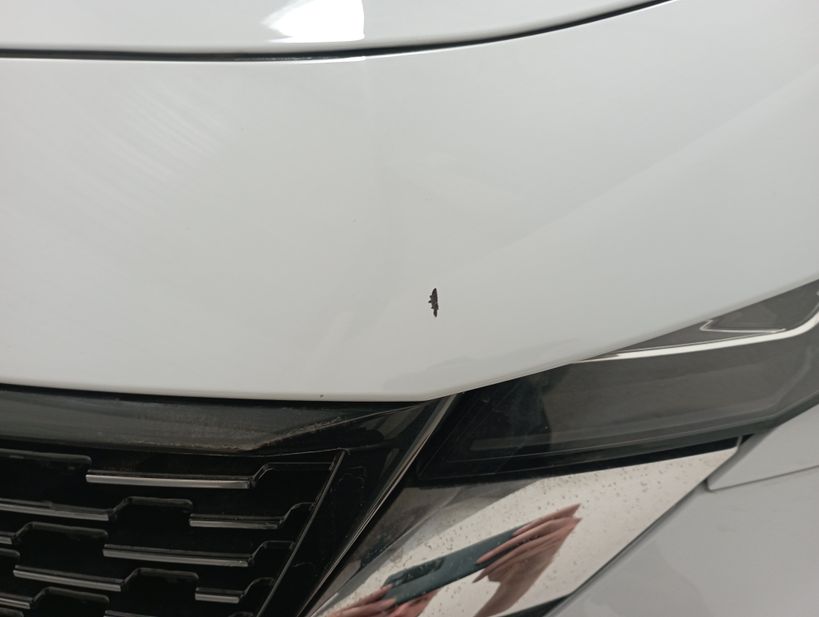 PEUGEOT 308 SW 2024 - Photo n°4
