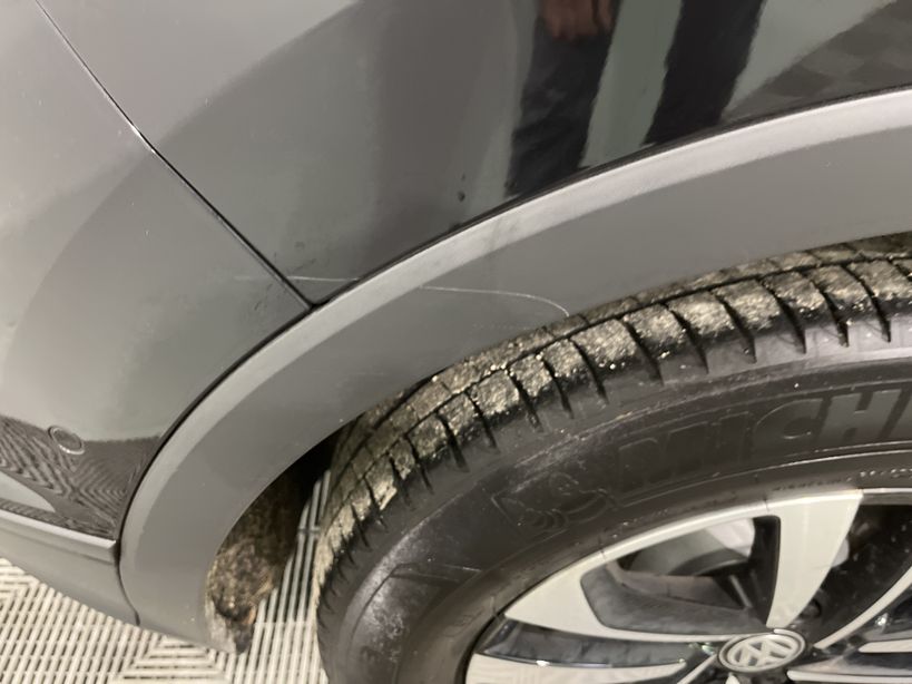 VOLKSWAGEN TIGUAN 2019 - Photo n°1