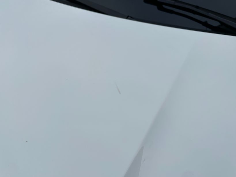 FIAT 600 2025 - Photo n°18