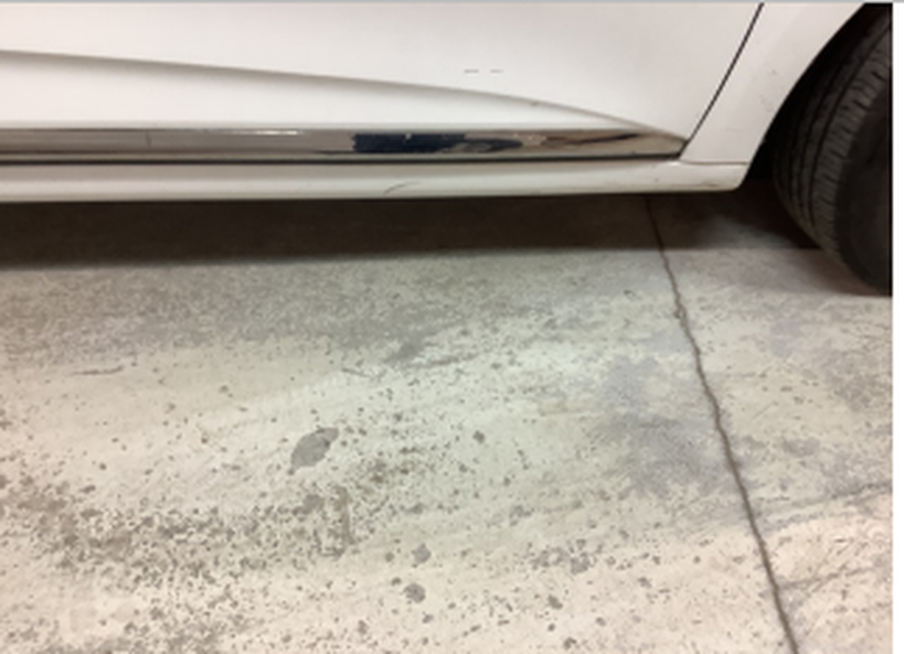 RENAULT CLIO V SOCIETE 2020 - Photo n°2