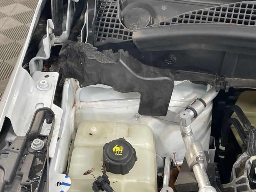 RENAULT KANGOO VAN 2023 - Photo n°10