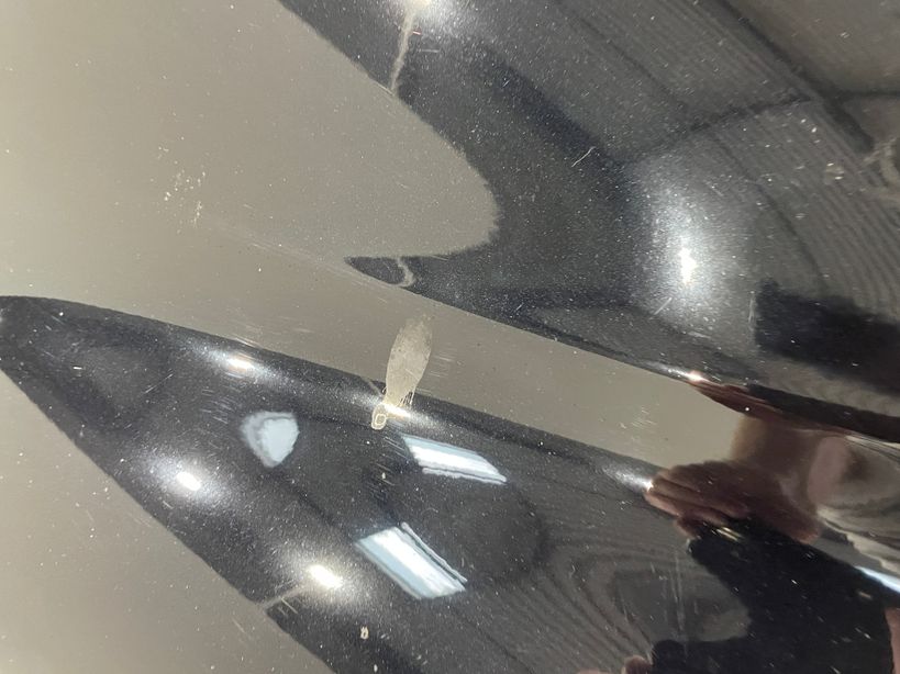 RENAULT ARKANA 2024 - Photo n°24