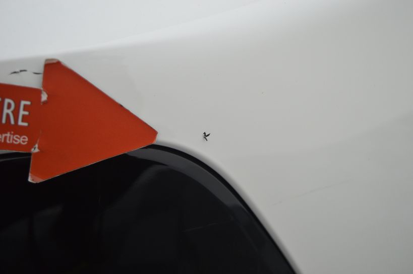 PEUGEOT 208 BUSINESS 2020 - Photo n°8