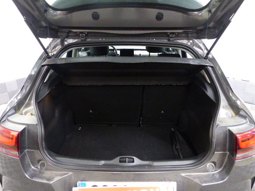 CITROEN C4 CACTUS 2020 - Photo n°9