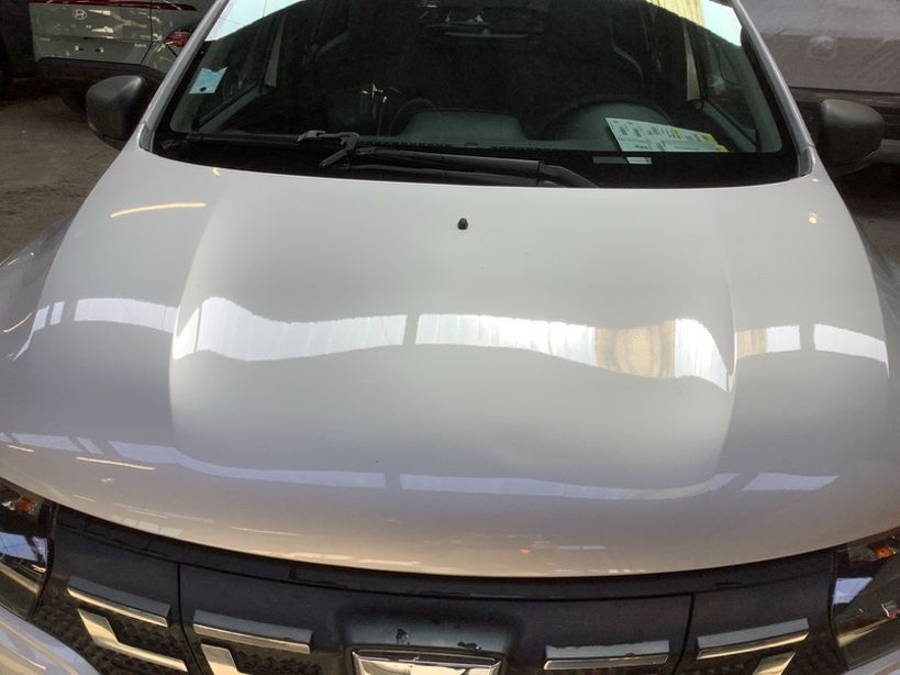 DACIA SPRING 2022 - Photo n°1