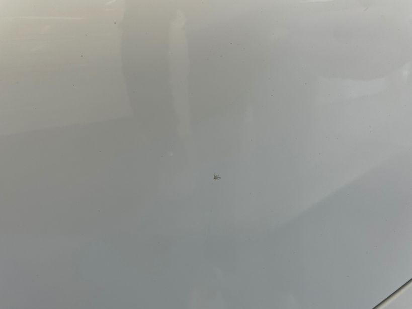 RENAULT CLIO V 2021 - Photo n°11