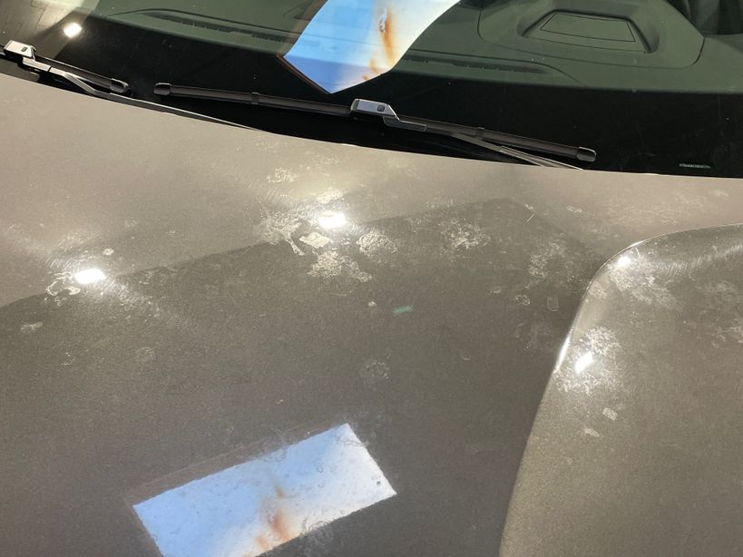 CITROEN C4 2024 - Photo n°3