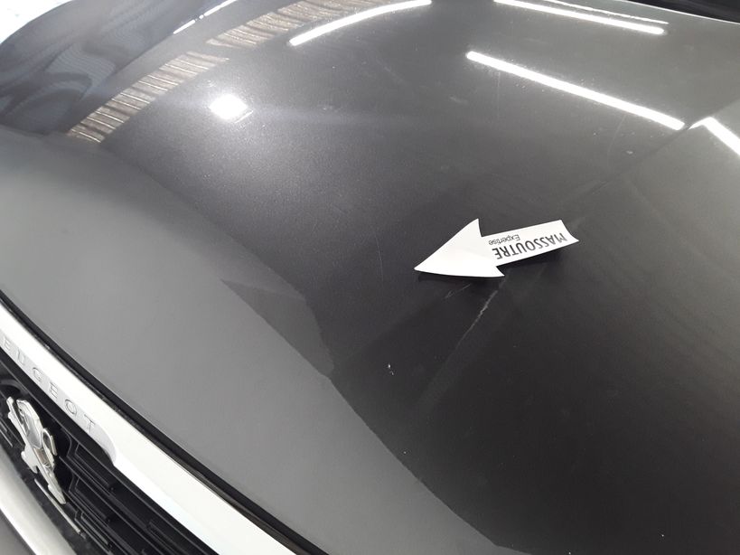 PEUGEOT 308 BUSINESS 2019 - Photo n°3