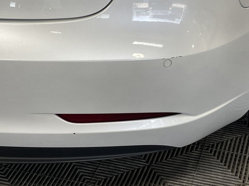 TESLA MODEL 3 2020 - Photo n°1