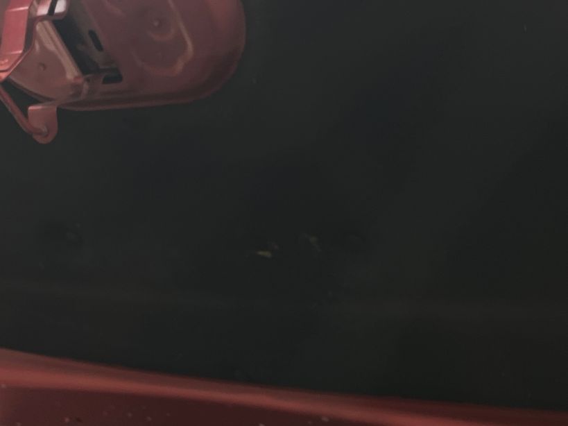 PEUGEOT 2008 2023 - Photo n°8