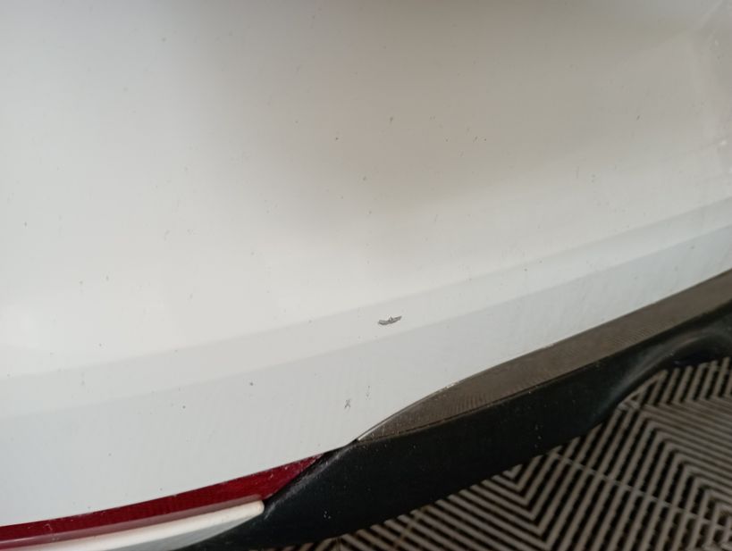 RENAULT CLIO V SOCIETE 2020 - Photo n°17