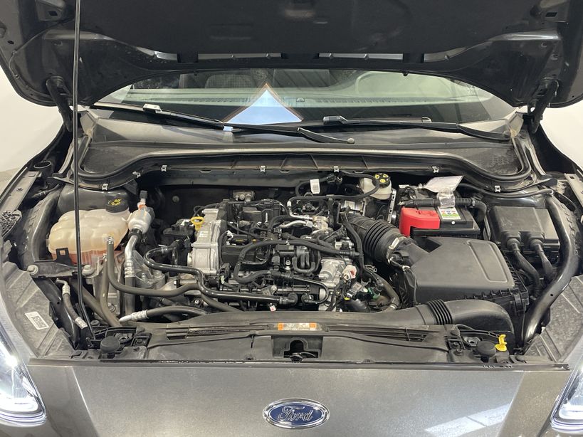 FORD FOCUS 2021 - Photo n°4