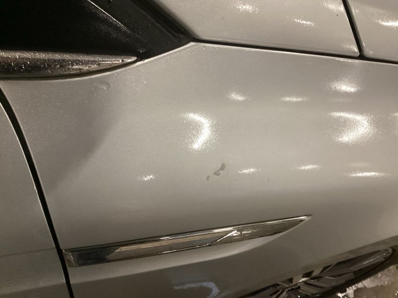 RENAULT MEGANE IV ESTATE 2022 - Photo n°1