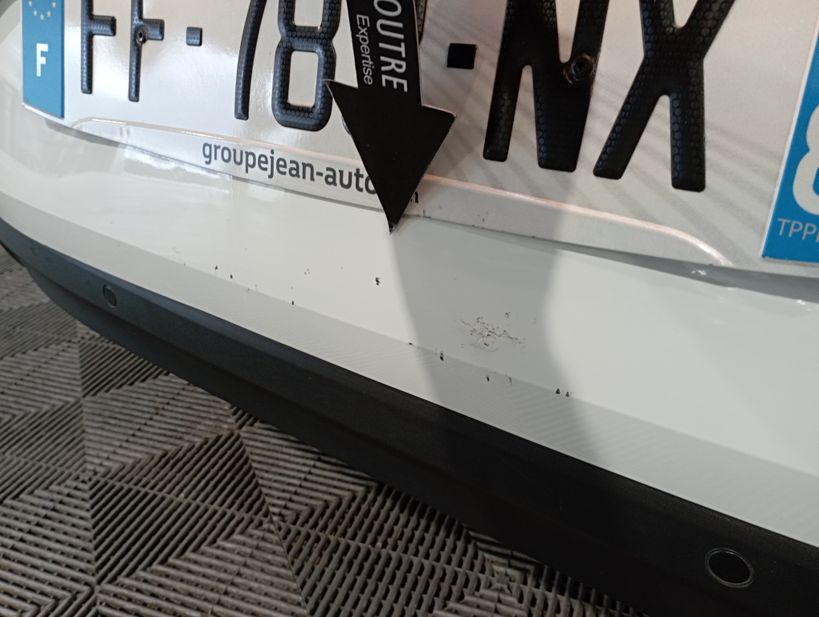 RENAULT MEGANE IV BERLINE BUSINESS 2019 - Photo n°6
