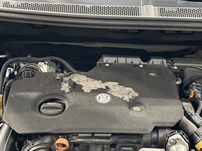 PEUGEOT 5008 2023 - Photo n°7