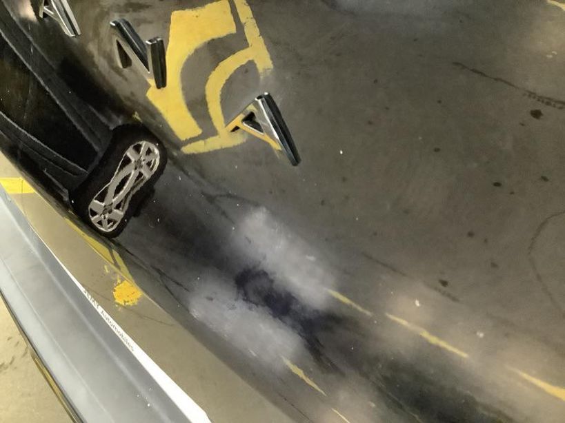 RENAULT ARKANA 2023 - Photo n°2