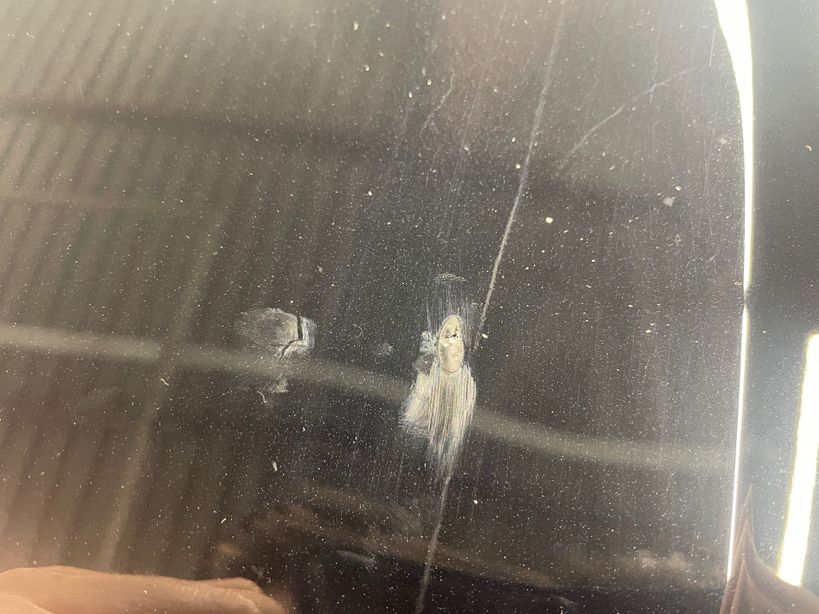 RENAULT ARKANA 2024 - Photo n°8