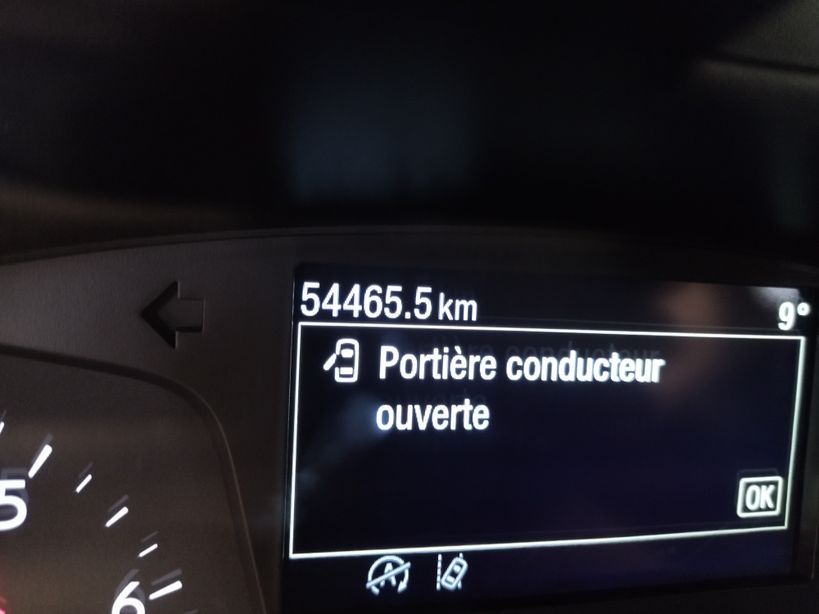 FORD FIESTA 2020 - Photo n°1